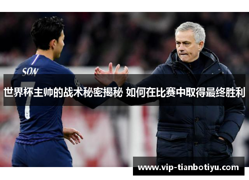 世界杯主帅的战术秘密揭秘 如何在比赛中取得最终胜利