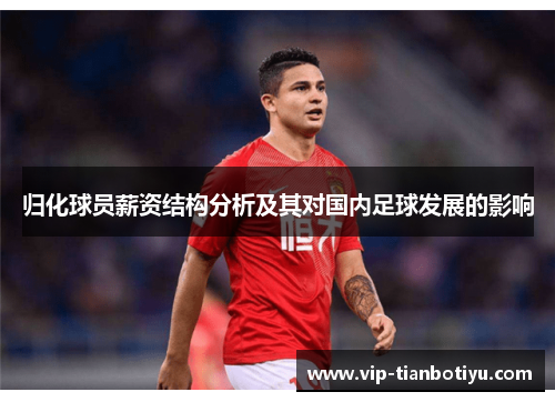 归化球员薪资结构分析及其对国内足球发展的影响