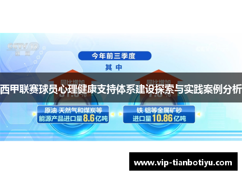 西甲联赛球员心理健康支持体系建设探索与实践案例分析